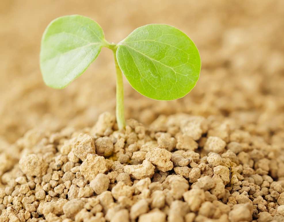 【シェア畑】都会でも自給自足の生活ができる！農業のシェアリングエコノミー♪