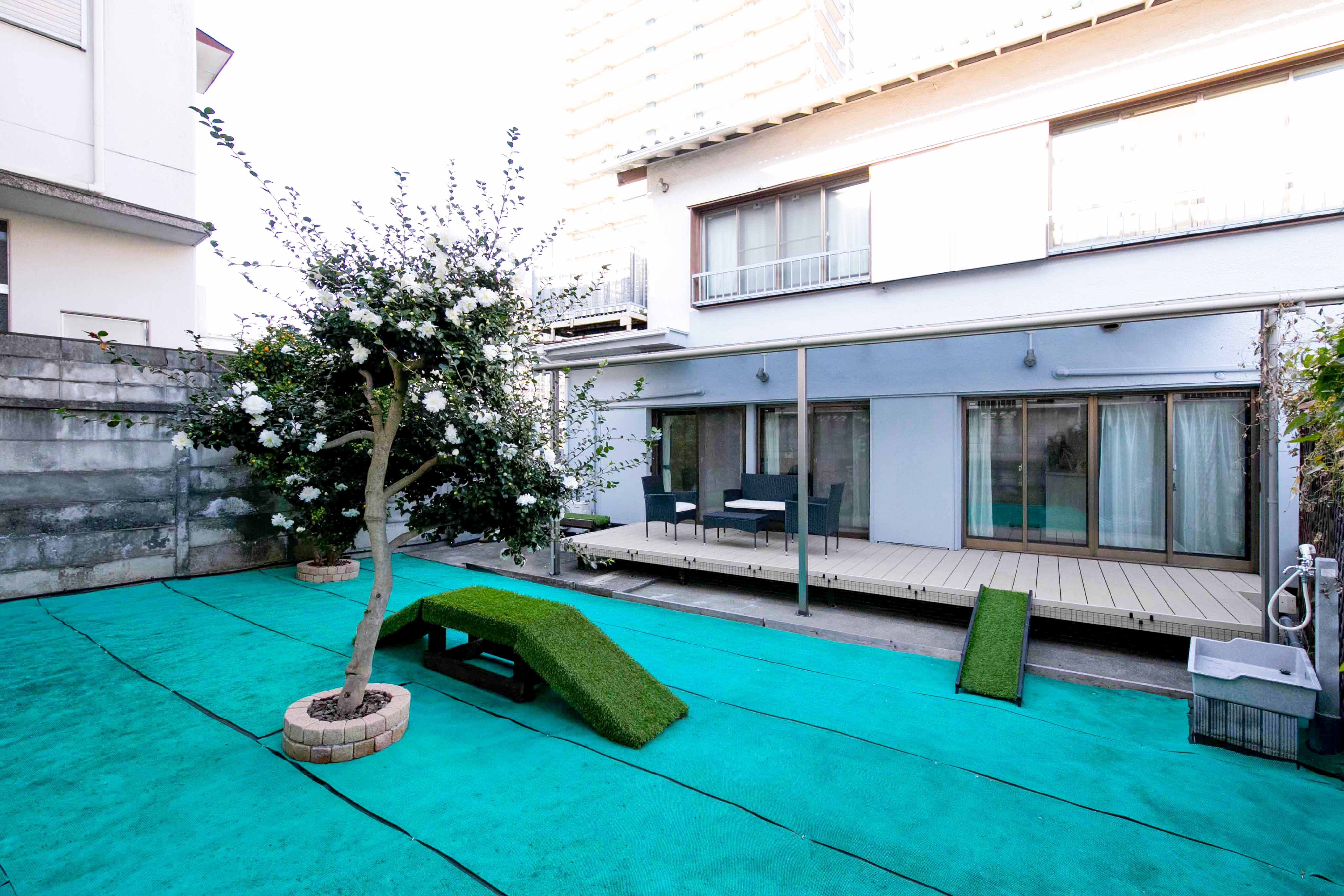 HOUSE-ZOO所沢 40帖のドッグラン全景 犬の足に優しいゴムマット敷きの広々としたスペース