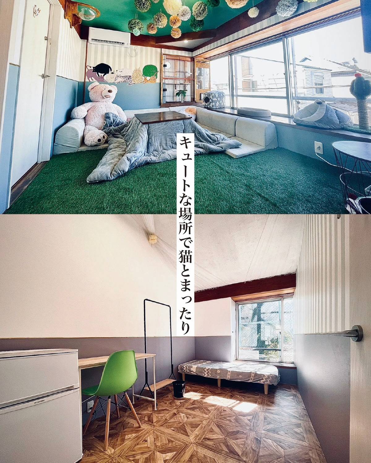 シェアハウスNYA_AGO上池台画像