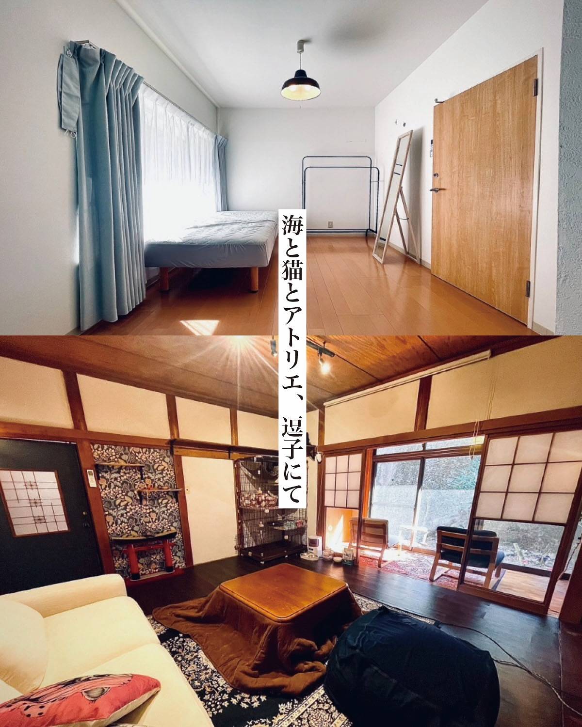 シェアハウスNYA_AGO逗子猫屋敷画像