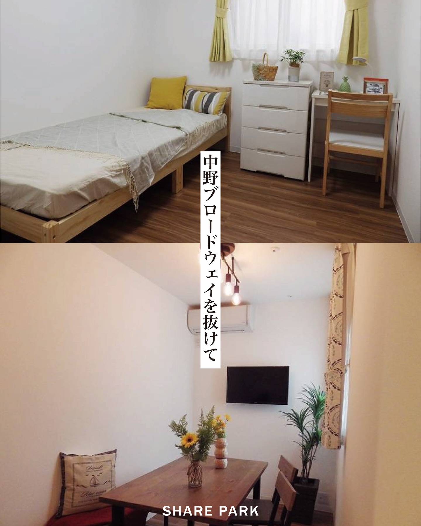 Cozy Share 中野画像