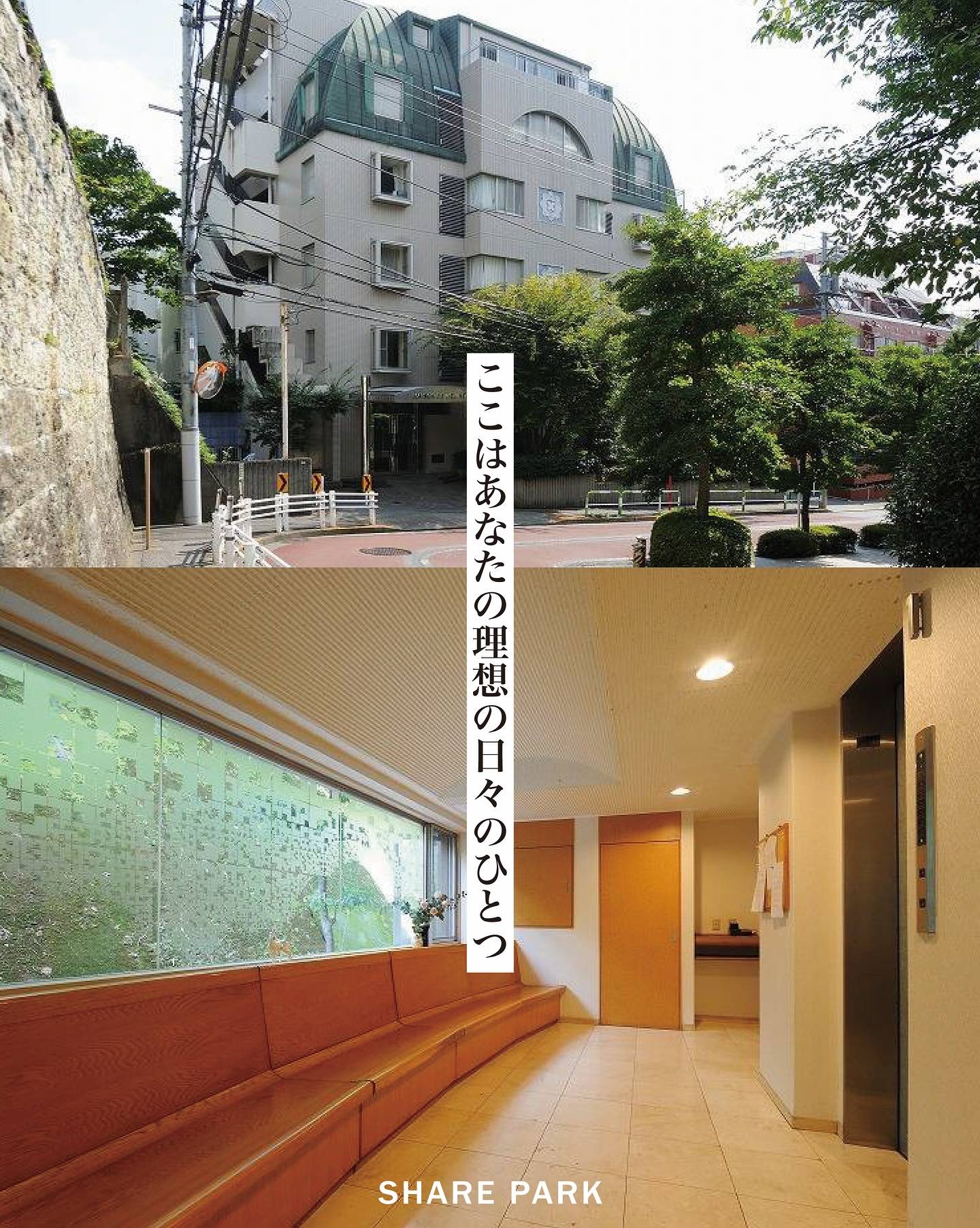 XROSS早稲田1画像