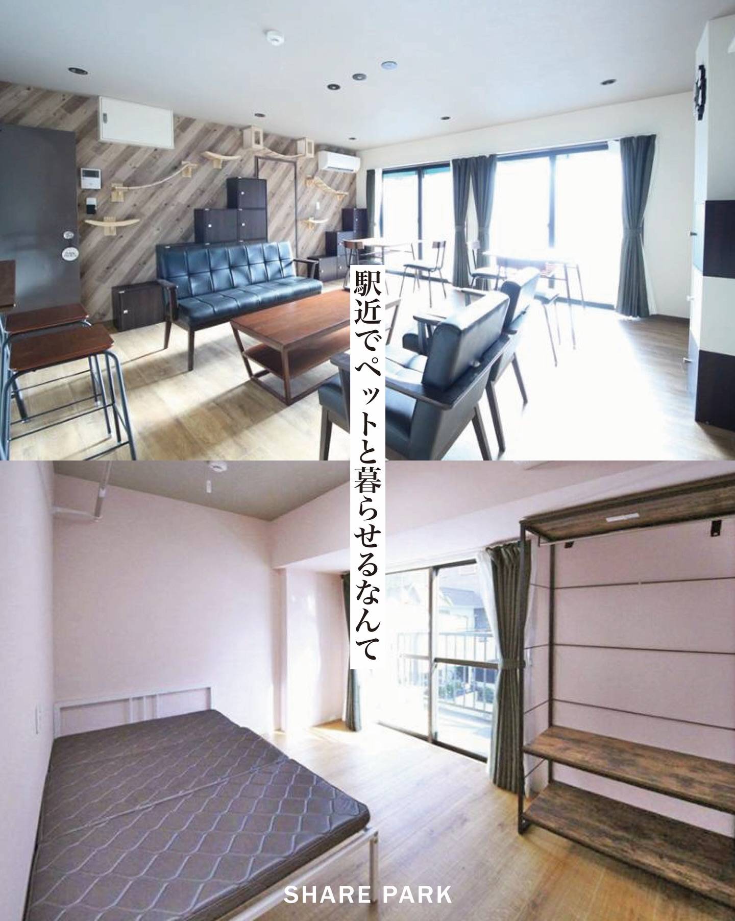 わんにゃんハウス新小岩画像