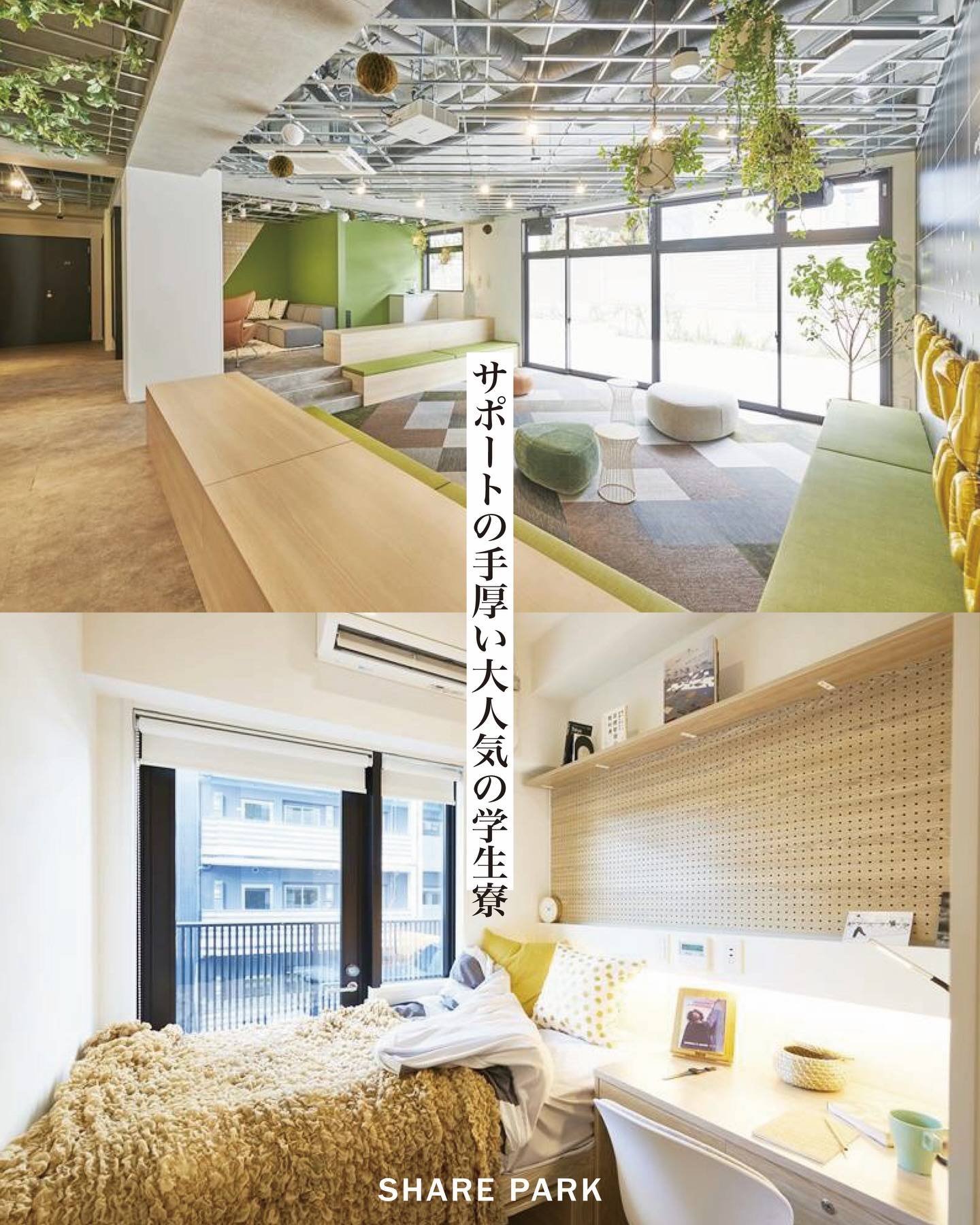 KAMIKITA HOUSE画像